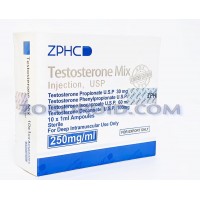ZPHC - TESTOSTERONE MIX (250 MG/1 ML X 10) 