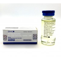 ZPHC - TESTOSTERONE PHENYLPROPIONATE (100 MG/10 ML) 